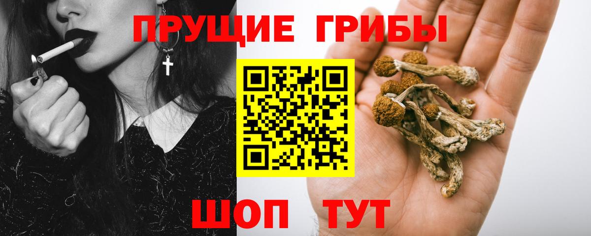 Галлюциногенные грибы GOLDEN TEACHER Лыткарино